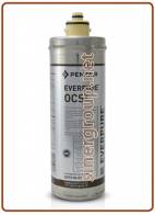 2 PEZZI EV961807 2 CARTUCCIA EVERPURE OCS