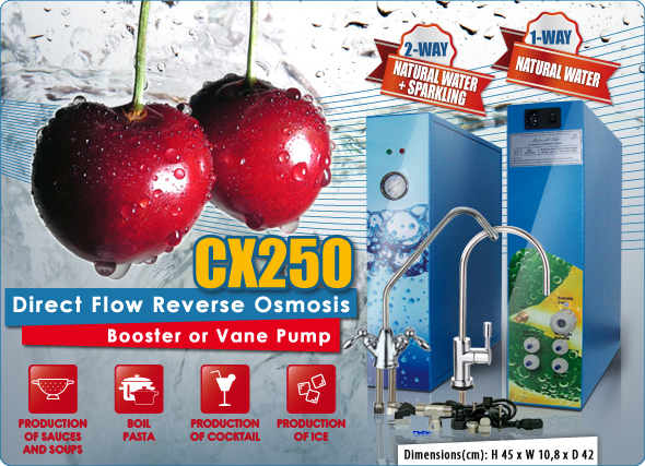CX250 RO System