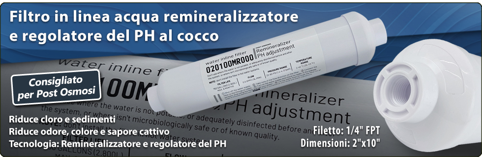 Filtro acqua in linea remineralizzatore e regolatore del PH GAC cocco depuratori acqua osmosi inversa sistemi filtrazione