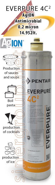Everpure 4c2 antimicrobial replacement filter potable water