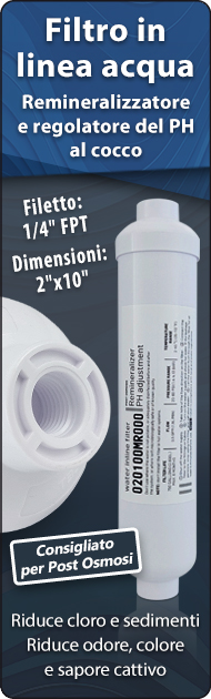 Filtro acqua in linea remineralizzatore e regolatore del PH GAC cocco depuratori acqua osmosi inversa sistemi filtrazione