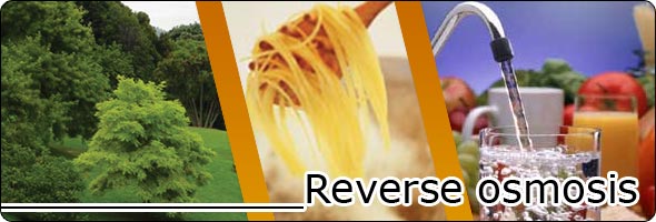 RO for Home Natural Sparkling Water