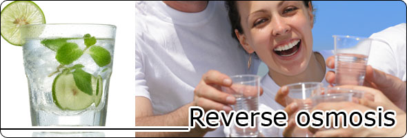 RO Reverse Osmosis Direct Flow