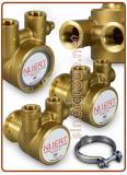 Nuert vane pumps for reverse osmosis 200-300-400-600-800-1080 lt./h.