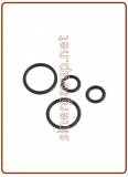 Kit O-ring di ricambio per canna rubinetto mod. 10003023 (green box)