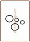 Kit O-ring di ricambio per canna rubinetto mod. 10004302, 10004314 (green box)