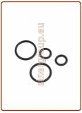 Kit O-ring di ricambio per canna rubinetto mod. 10003045 (green box)