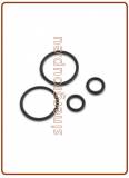 Kit O-ring di ricambio per canna rubinetto mod. 10003202 (green box)