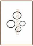 Kit O-ring di ricambio per canna rubinetto mod. 10005024 (green box)