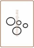 Kit O-ring di ricambio per canna rubinetto mod. 10005015 (green box)