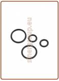 Kit O-ring di ricambio per canna rubinetto mod. 10005026 (green box)