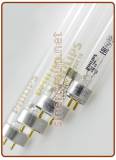 Lampadine UV-C Philips da 4W. a 55W. 2 Pins Ambolati