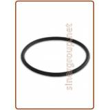 Oring ricambio per contenitore 02001016-01