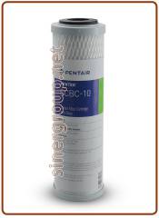 Pentek SCBC-10 Cartuccia Carbon Block battereostatica 2-7/8"x9-3/4" - 0,5 micron (12)