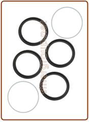 Kit O-ring di ricambio per canna rubinetto mod. 10003038 (white box)
