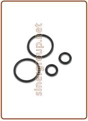 Kit O-ring di ricambio per canna rubinetto mod. 10003044 (green box)