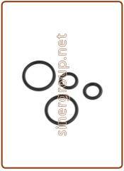 Kit O-ring di ricambio per canna rubinetto mod. 10003037 (white box)