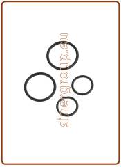Kit O-ring di ricambio per canna rubinetto mod. 10003026 (green box)