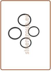 Kit O-ring di ricambio per canna rubinetto mod. 10003078 (green box)