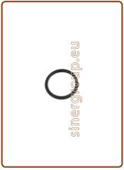 O-ring for code 15010413