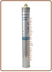 Everpure Insurice 4000(2) antimicrobial antiscale replacement filter 45.360lt. - 6,3lt./min. 0,5 micron (6)