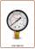 Pressure gauge 1/4" OD 50 Radial connections (0-10bar/145psi)